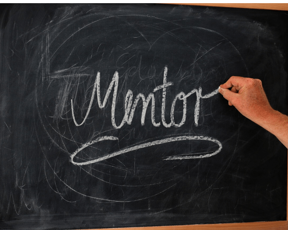 ऑनलाइन मेंटरिंग (Online mentor)